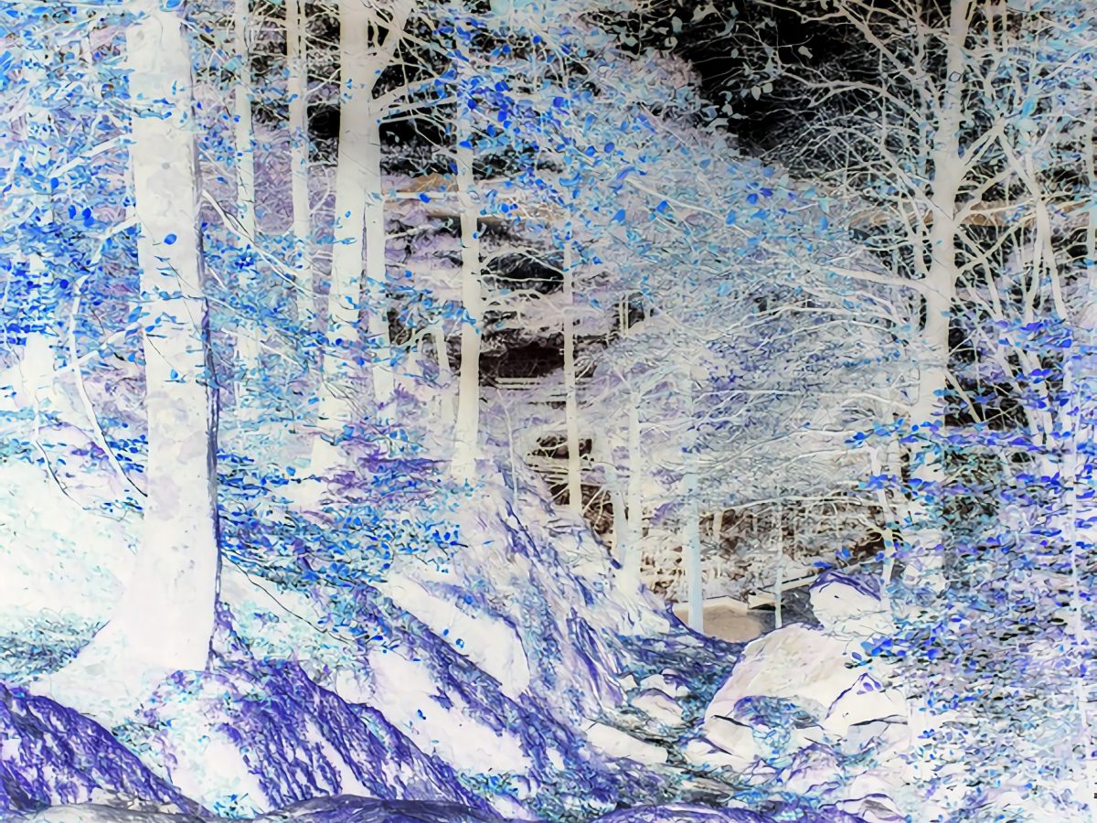 Lars Holdhus